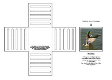 Lapbook-Minibuch-Faltform-Stockente-A-1-5.pdf